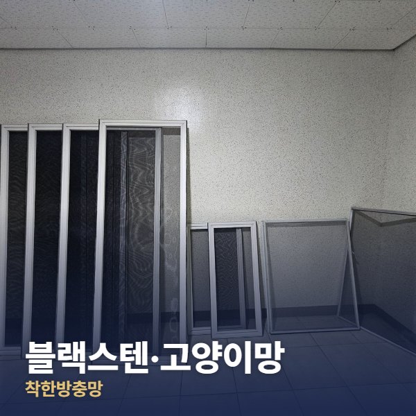 관악구 블랙스텐·고양이망